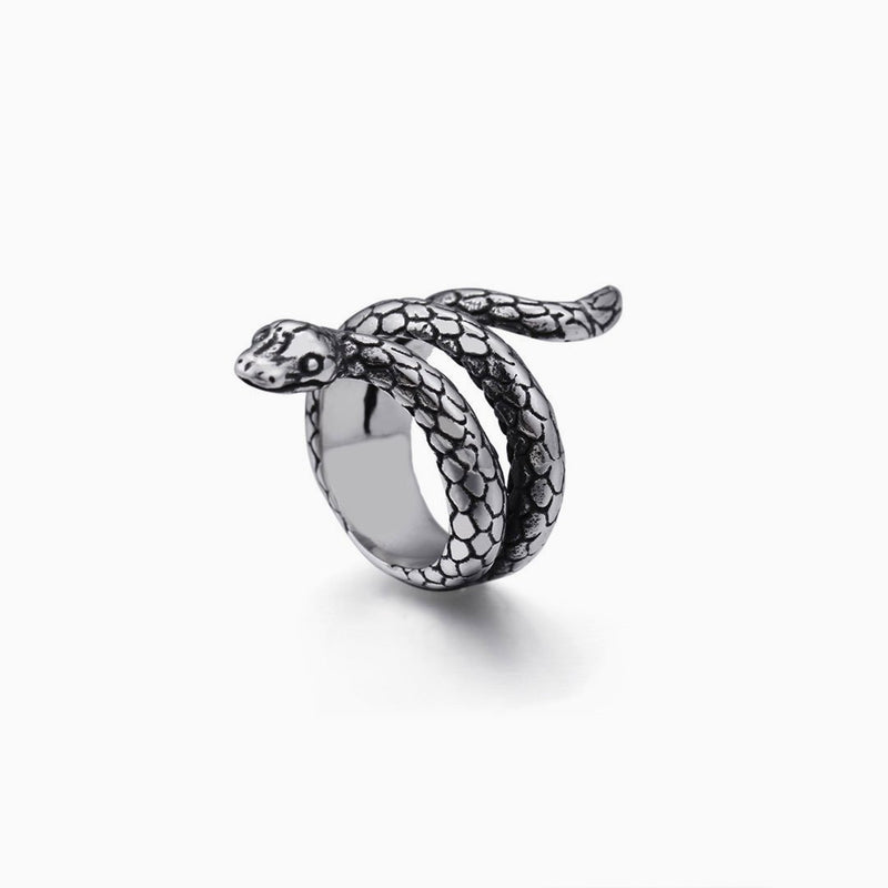 Punk Style Wrap Around Snake Shaped Embossed Ring - Silver